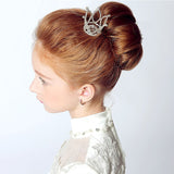 Small Girls Crown Tiara Hair
