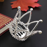 Small Girls Crown Tiara Hair